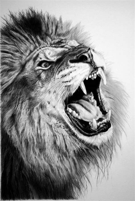 pencil lion by francoclun on DeviantArt