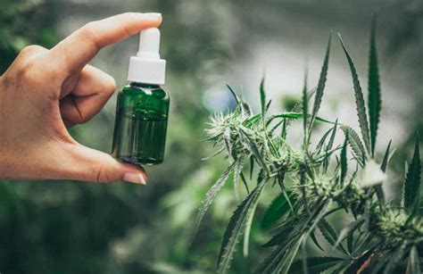 Huile de CBD pressée à froid quels sont les bienfaits Ortho Doc