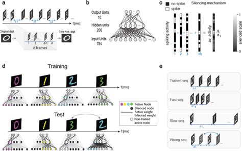 Artificial And Biological Neural Networks Datadriveninvestor Artofit