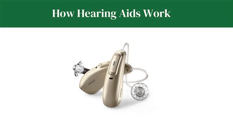 How Hearing Aids Work