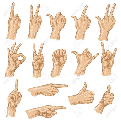 Colored Sketch Of Hand Gestures Set Of The Different Positions