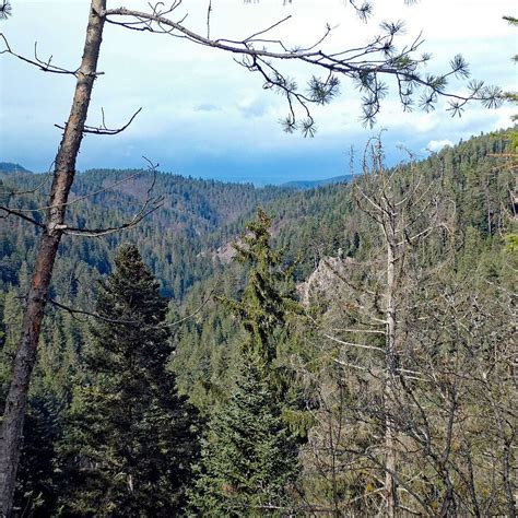 Wanderung Zum Schl Sslefelsen In Tennenbronn