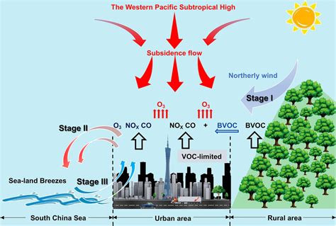 Conceptual diagram of the impact of biogenic emissions on O3 formation... | Download Scientific ...