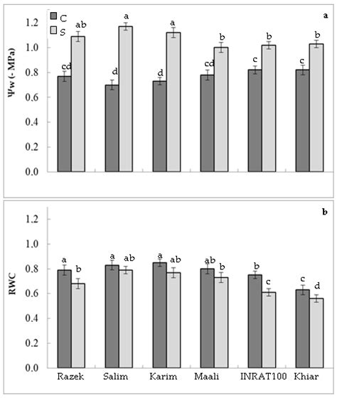 Plants Free Full Text Functional Dissection Of The Physiological