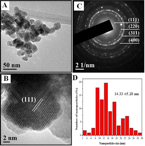 Tem Characterization Of Nano Microstructures Fe O Nps A Tem