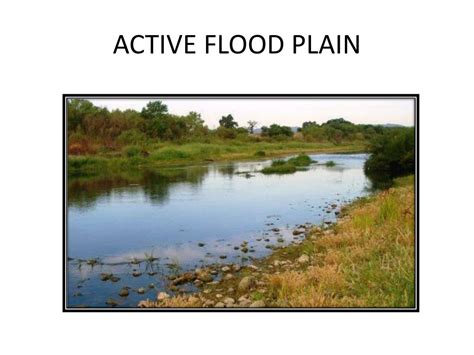 Ppt Active Flood Plain Powerpoint Presentation Free Download Id