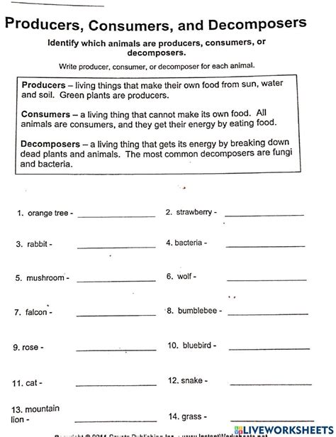 Consumers Producers And Decomposers Worksheet Producers A