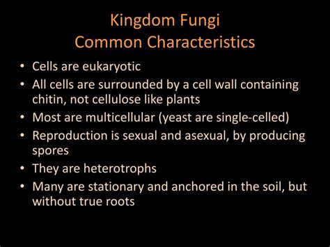 PPT Kingdom Fungi Common Characteristics PowerPoint Presentation