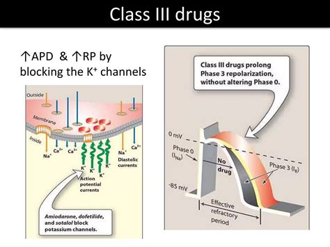 Antiarrhythmic Drugs Bds Ppt