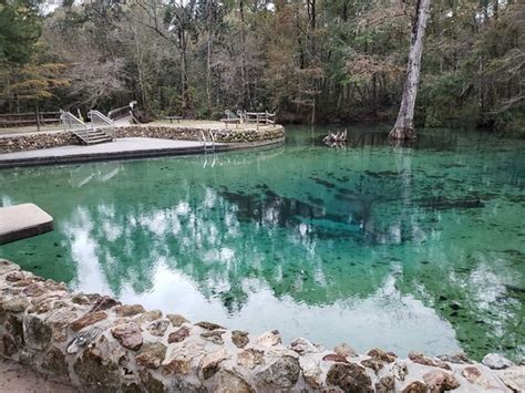 Ponce de Leon Springs State Park - 2020 All You Need to Know BEFORE You ...