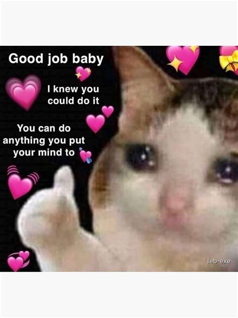 Cute Wholesome Cat Heart Meme Ubicaciondepersonascdmxgobmx