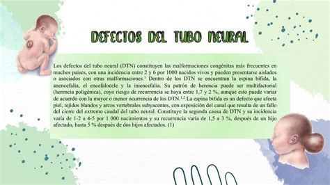 Defectos del tubo neural Anahí uDocz