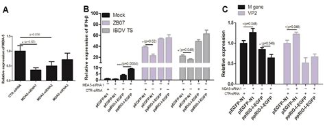 Viruses Free Full Text Pigeon Rig I Function In Innate Immunity