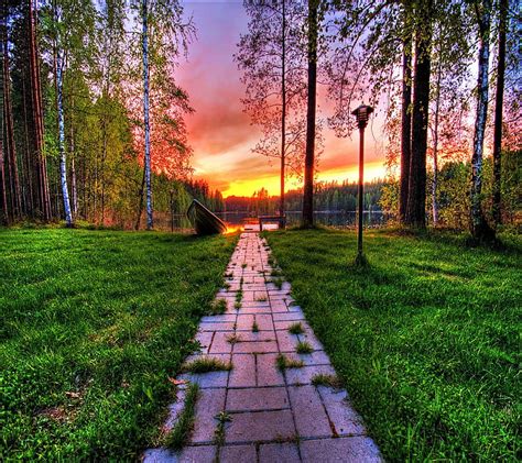 Best Nature Picture