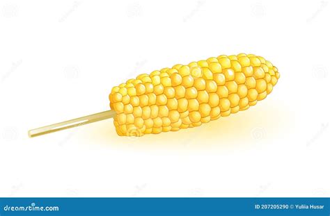 Cartoon Caramelized Sweet Corn Stock Vector Illustration Of Organic