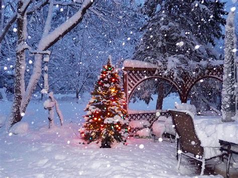 Fondos de Pantalla Estaciones del año Invierno Nieve Naturaleza