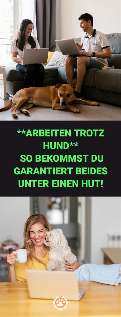 Du wünschst dir nichts sehnlicher als einen Hund aber glaubst dass