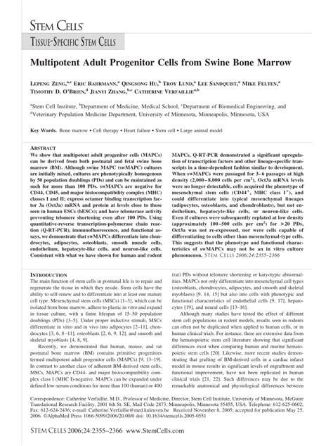 Pdf Multipotent Adult Progenitor Cells From Swine Bone Marrow