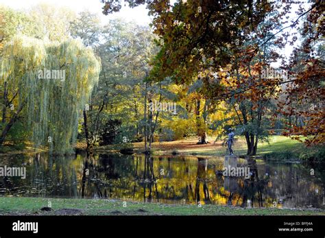 Lake In The Tiergarten Park Berlin Stock Photo 26773722 Alamy