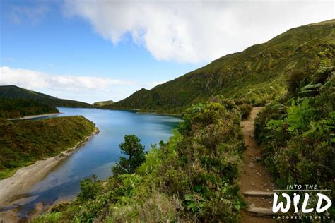 Sete Cidades E Lagoa Do Fogo Tour Di Un Giorno Intero GetYourGuide