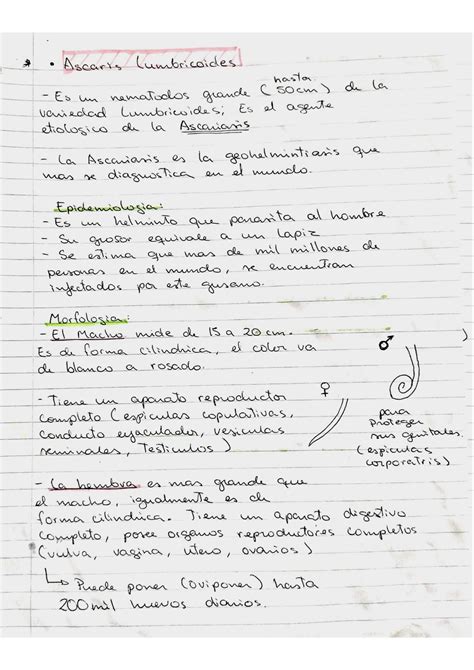 SOLUTION Parasitolog A Guia 11 Studypool