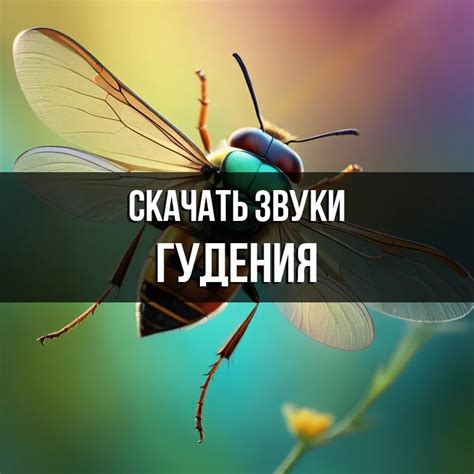 Звук гудения скачать бесплатно на Zvukogram