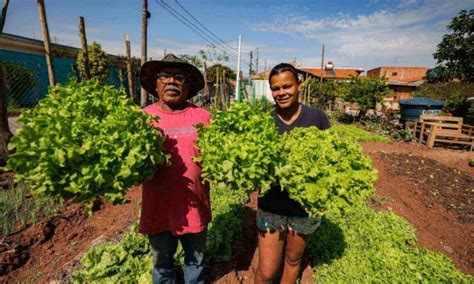 Hortas Urbanas Do Jardim Novo Horizonte Promovem Sa De E Renda Em Jundia