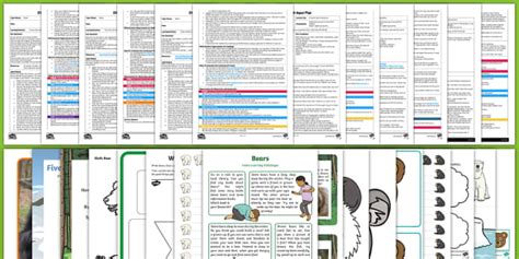 Eyfs Bears Adult Input Planning And Resource Pack Twinkl