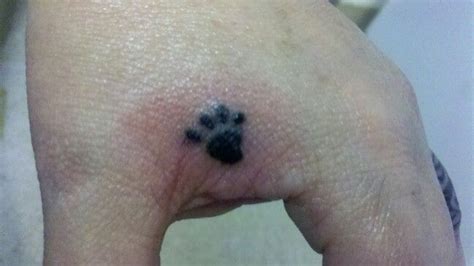 My Tattoo A Tiger Paw Paw Print Tattoo Tiger Paw Print Tattoos