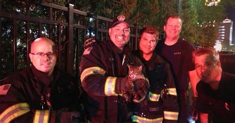 Atlantic City Firefighters Rescue Kitten Trapped In Drainage Pipe Cbs Philadelphia