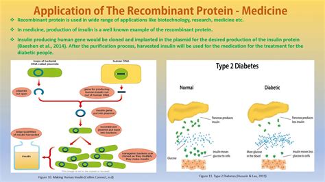 The Use Of Recombinant Proteins In Medicine Youtube