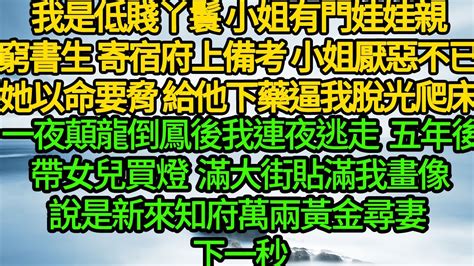 我是低賤丫鬟 小姐有門娃娃親窮書生，他寄宿府上備考 小姐厭惡不已，她以命要脅 給他下藥逼我脫光爬床，一夜顛龍倒鳳後我連夜逃走，五年後帶女兒買燈 滿大街貼滿我畫像，說是新來知府萬兩黃金尋妻 下一