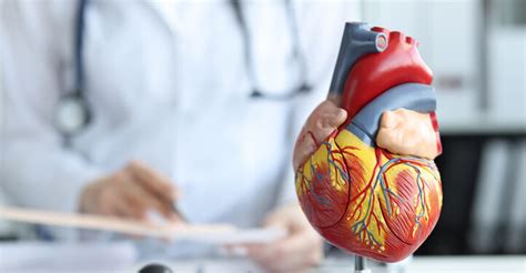 Coronary Circulatory System Cms Fitness Courses