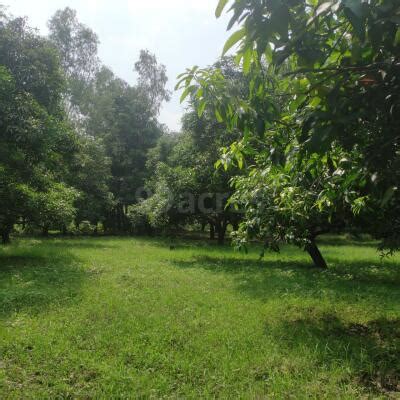 Agriculture Farm Land For Sale In Kanth Road Moradabad 30008 Sq Yard