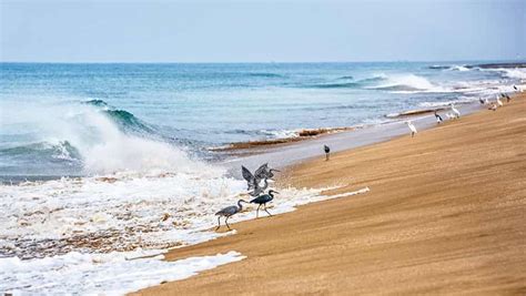 12 Best Beaches Near Dwarka Gujarat