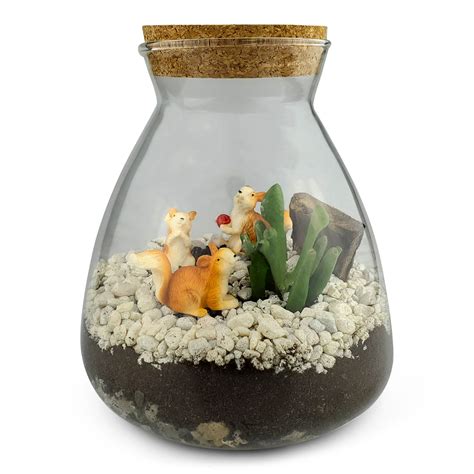 Cork Glass Bottle Terrarium Koncove