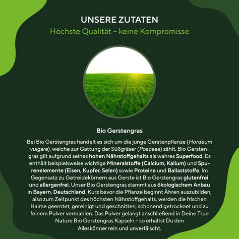 TRUE NATURE Bio Gerstengras Kapseln 3x360 St Shop Apotheke