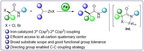 朱守非教授团队jacs 铁催化csp3−csp3偶联构筑季碳中心 元素有机化学国家重点实验室