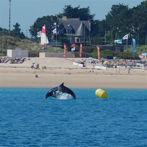 Marche Aquatique Centre Nautique De Fr Hel Bienvenue Sur Le Site