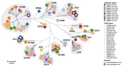 Frontiers Whole Genome Sequence Based Characterization Of Virulence