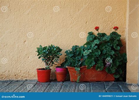 Plant and Flower Pot in the Balcony Stock Image - Image of decorative, flower: 144099821