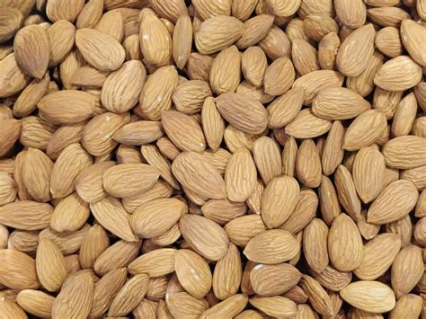 Bold Almond Nut 19 Packaging Size 25 Kg At Rs 720 Kg In Jaipur ID