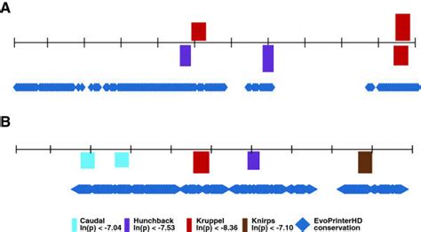 Conserved sequence beyond known TF binding regions. PATSER predicted ... 