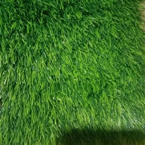 Pe Artificial Green Grass For Outdoor At Rs 55sq Ft In Noida Id