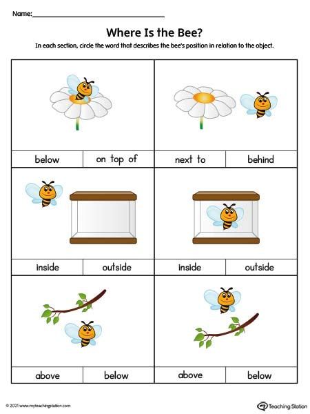 Preschool Position And Direction Printable Worksheets