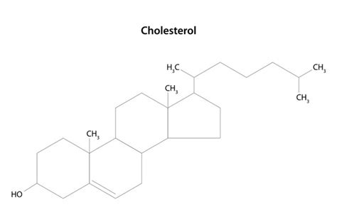 Cholesterin Strukturformel