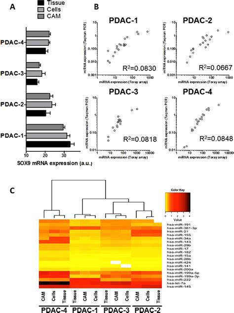 Profiling Of SOX9 And Key MiRNAs Show Similar Results In PDAC Tissues