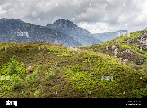 Snowdonia Mount Tryfan Summer Hi Res Stock Photography And Images Alamy