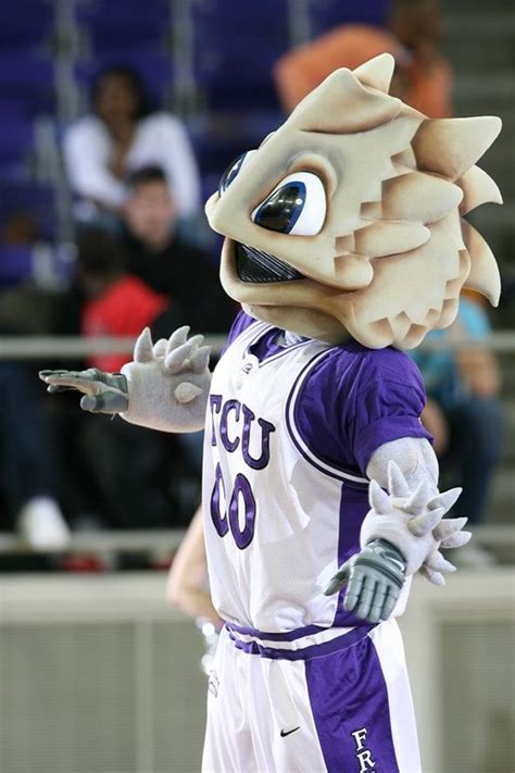 TCU Horned Frogs - Traditions run deep at TCU, and it begins with the ...