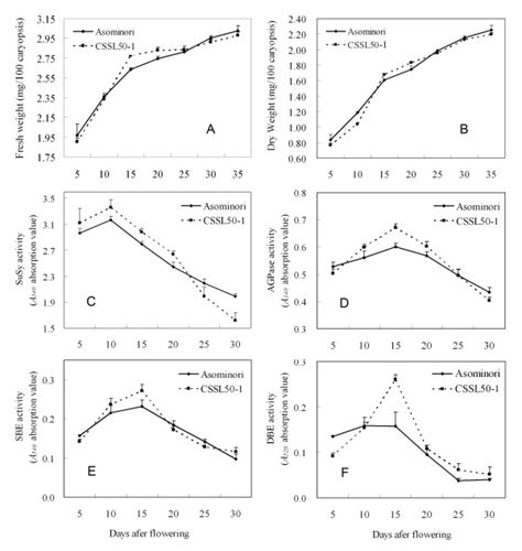 Comparison Of Grain Filling Rates And Activities Of Starch Synthesis